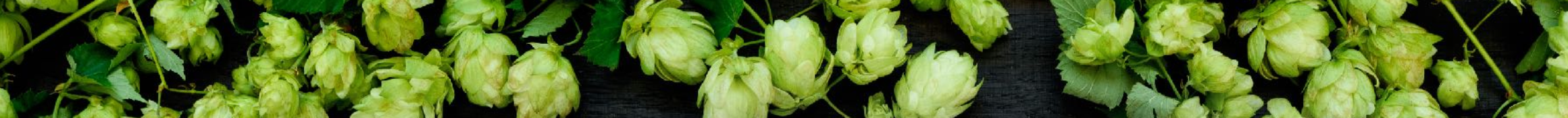 CHOPE ENVASADO NA HORA NO GROWLER PET - 1 LITRO