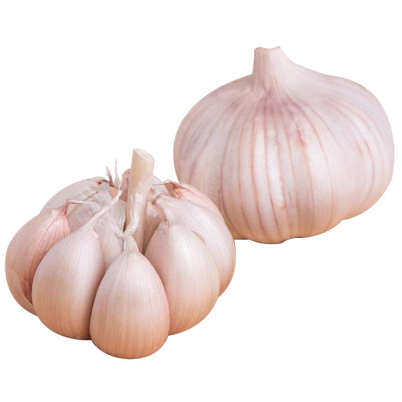 ALHO BRANCO 250G