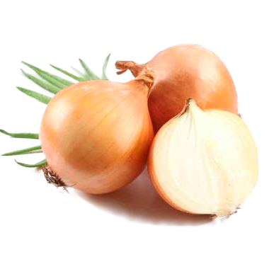 CEBOLA 500G