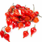 PIMENTA BIQUINHO 100G