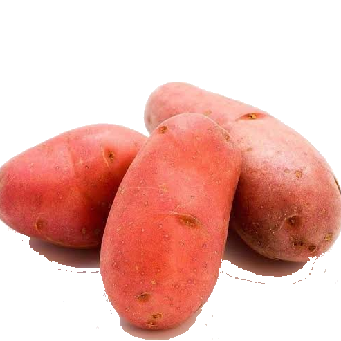 BATATA ASTERIX 500G
