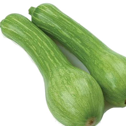 ABOBRINHA BRASILEIRA 500G