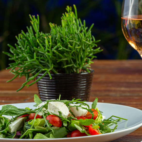 Insalata Caprese