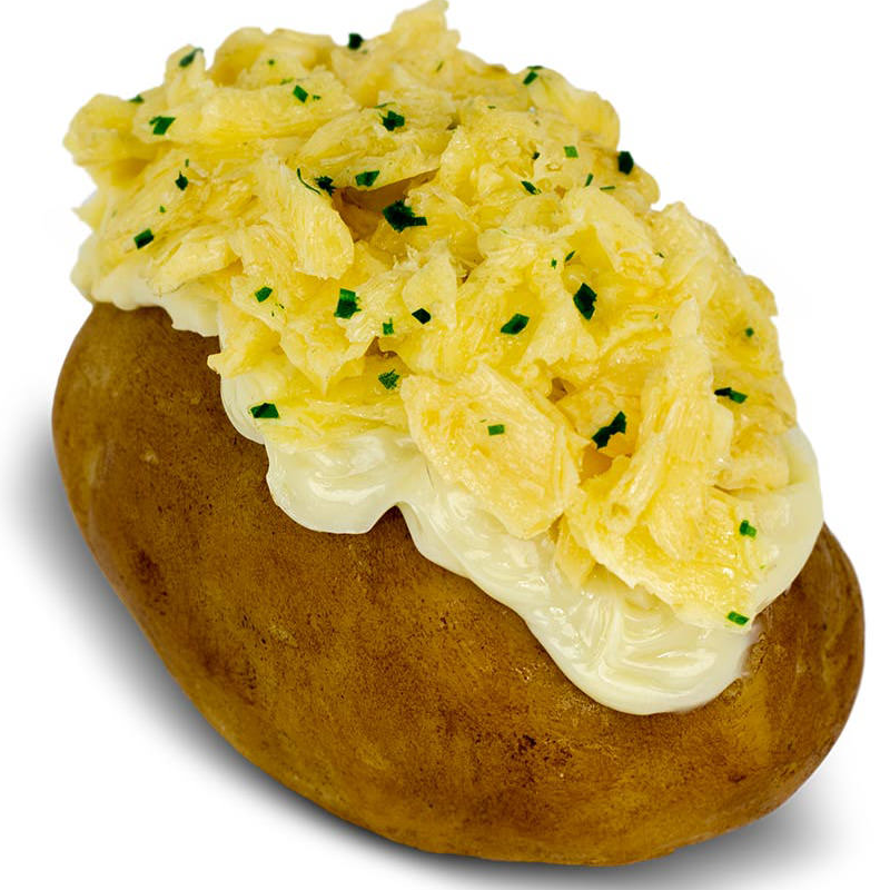 26 XG - Creme de palmito