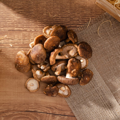 Shiitake orgânico