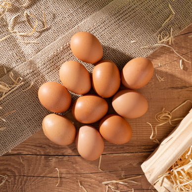 10 ovos orgânicos