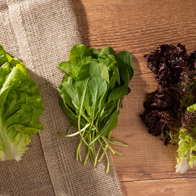 Mix de alface e rúcula orgânicas e higienizadas