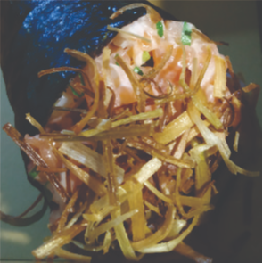 Temaki salmão pepper 