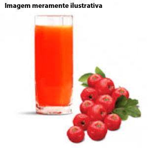 Suco de Acerola 500ml