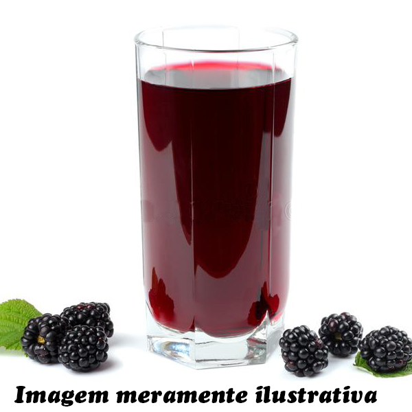 Suco de Amora 500ml