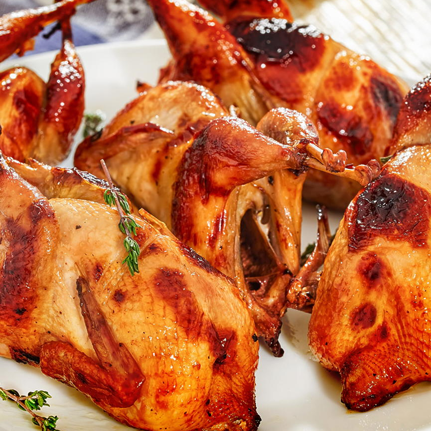 CODORNA - 03 UNIDADES