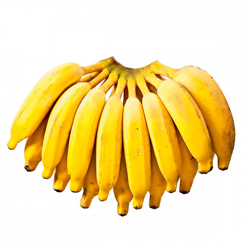Banana Prata
