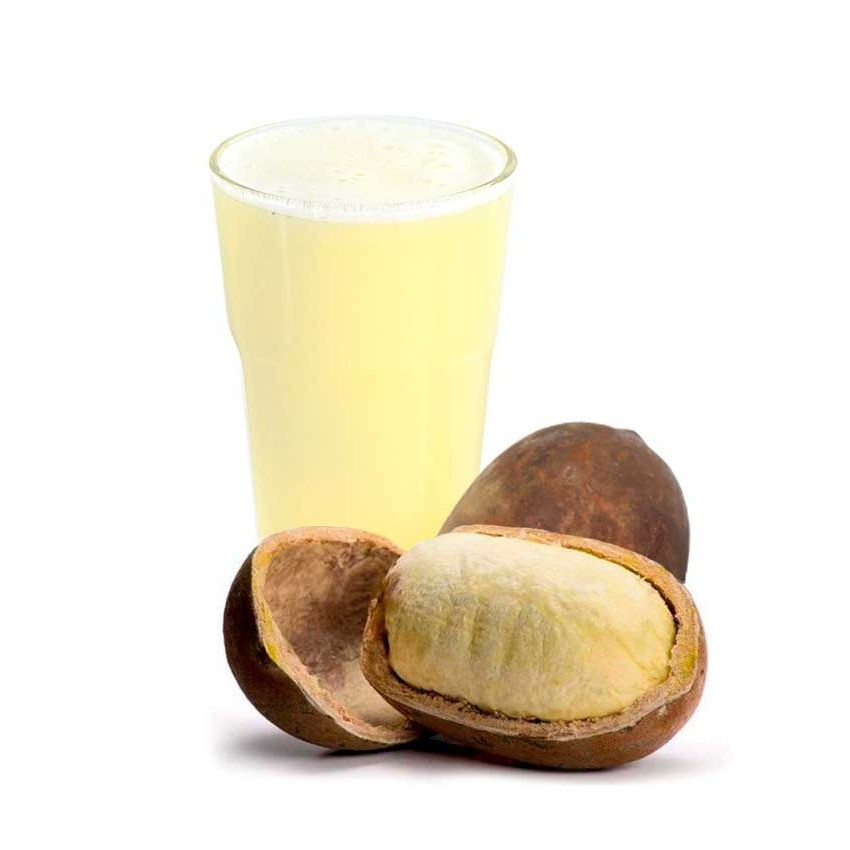 SUCO CUPUACÚ NATURAL 500ML