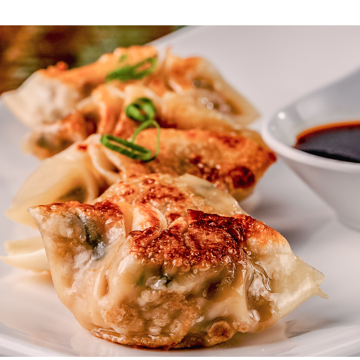 Guioza de Lombo ( 4 unidades)