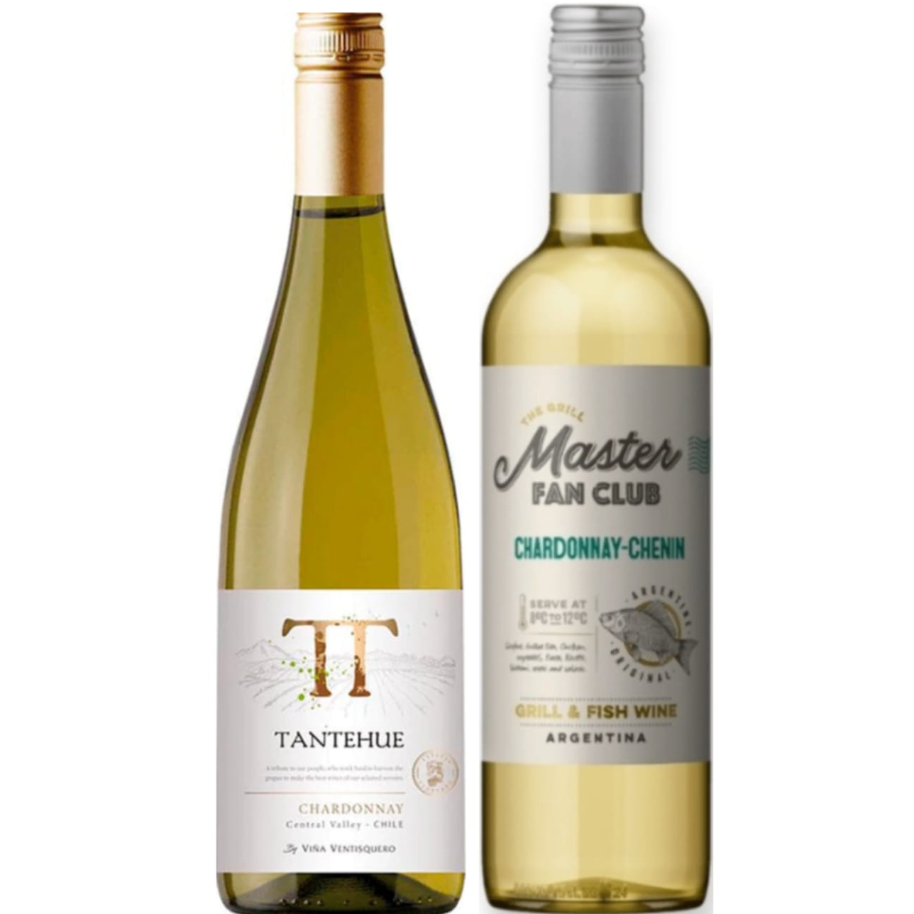 Dupla De Vinhos Brancos Chile e Argentina