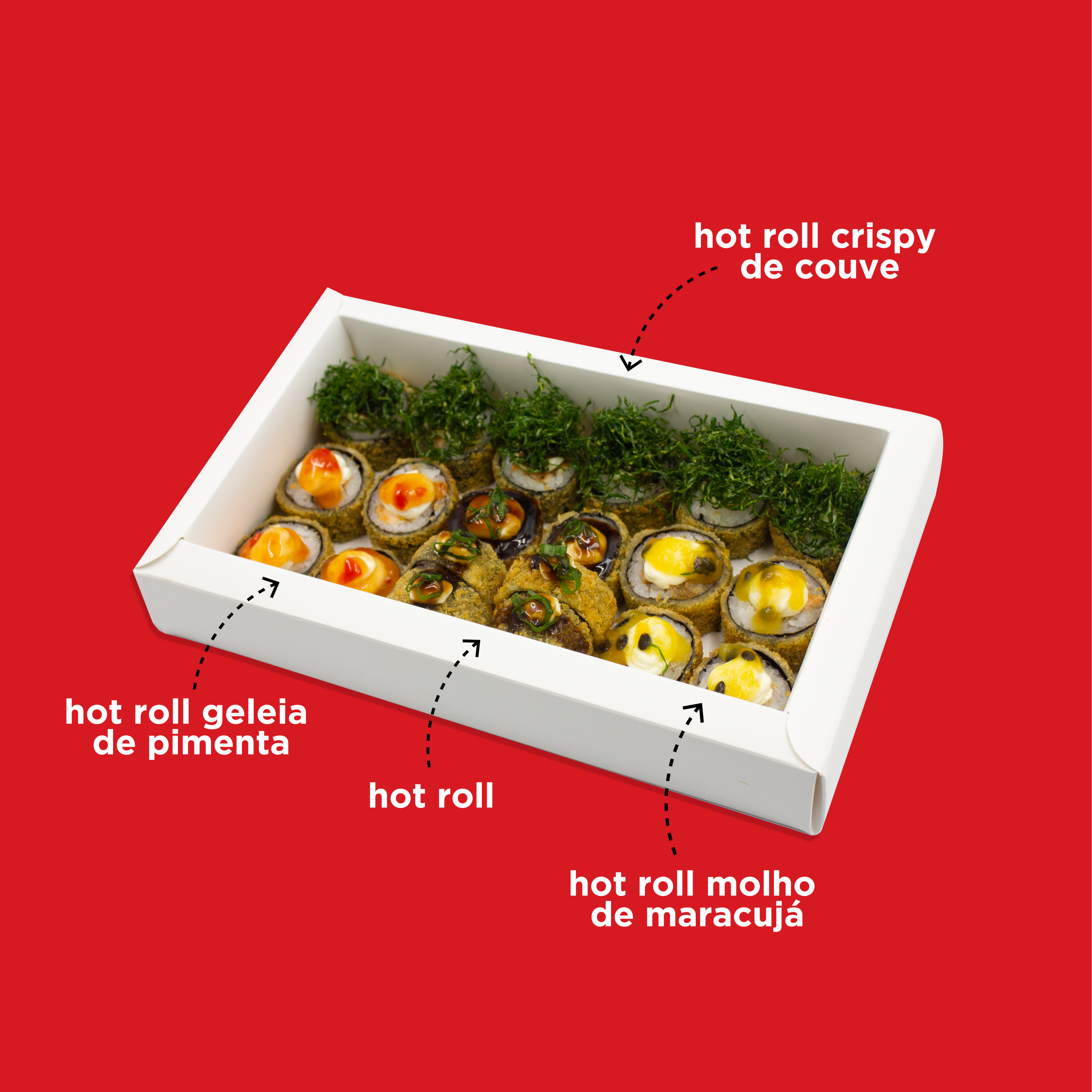Combinado Hot 20 peças