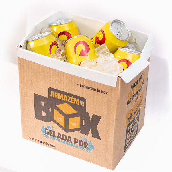 IN BOX + 12 SKOL - LATA 350ML