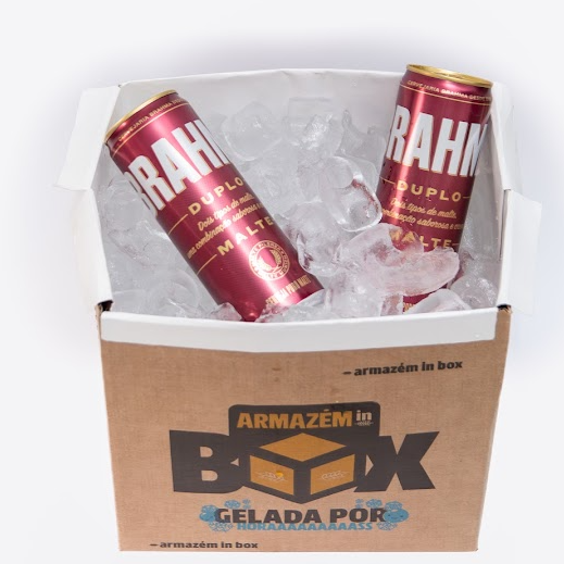 IN BOX + 12 BRAHMA DUPLO MALTE - LATA 350ML