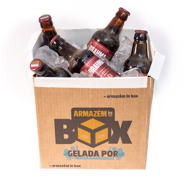 IN BOX + 9 BRAHMA DUPLO MALTE - 300ML RETORNÁVEL