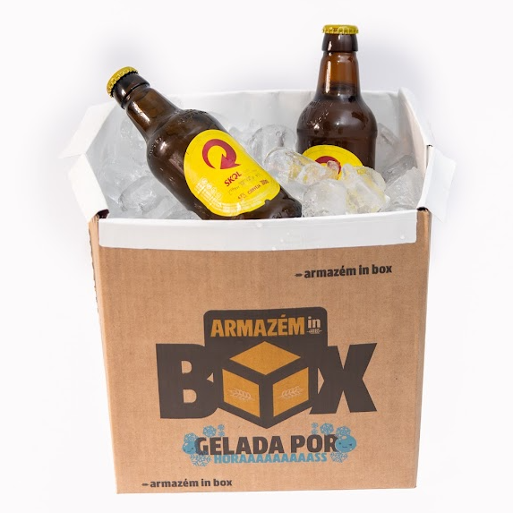 IN BOX + 9 SKOL - 300ML RETORNÁVEL