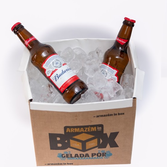 IN BOX + 9 BUDWEISER - LONG NECK 330ML 