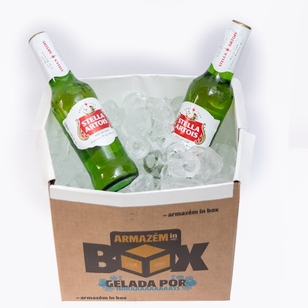 IN BOX + 9 STELLA ARTOIS - LONG NECK 330ML 