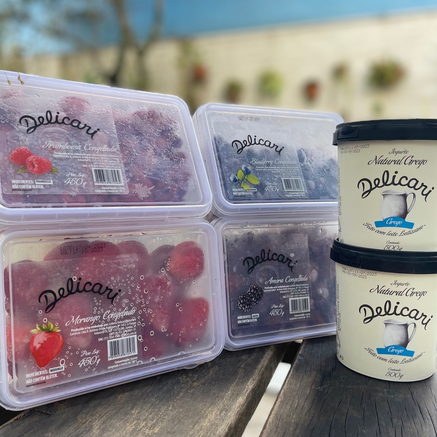 Kit Frutas Congeladas + 2 gregos de 500gr