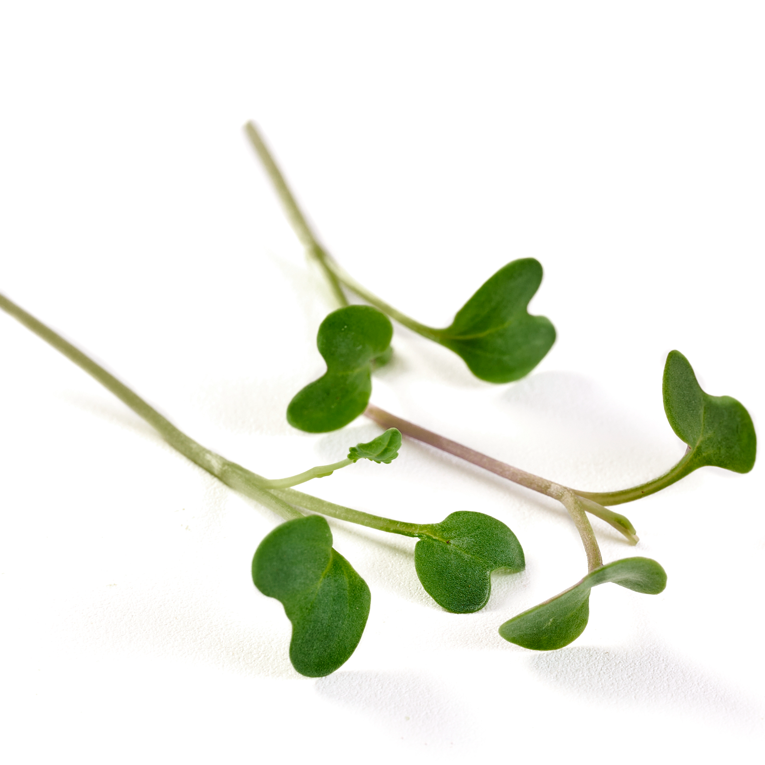 Broto de Brócolis - 90g