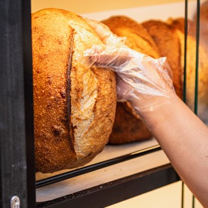Sourdough tradicional médio (510g)