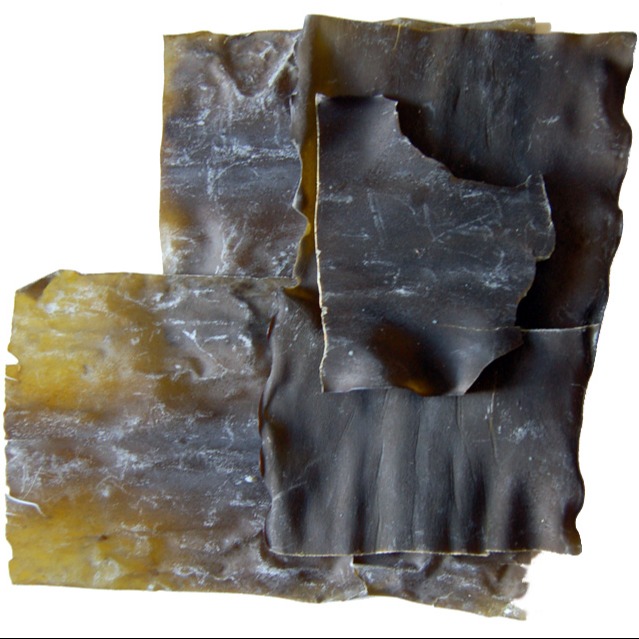 Kombu  Fracionada 10g