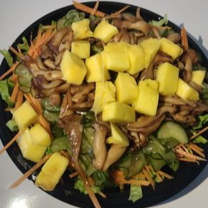 Crie seu poke de shimeji