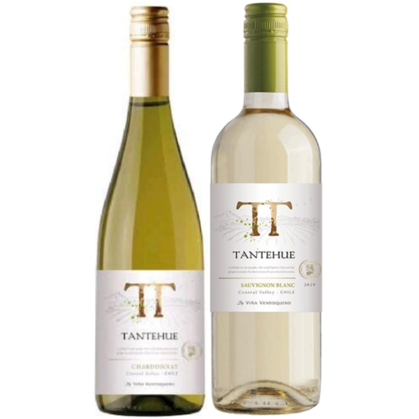 Dupla Chilena Tantehue Chardonnay + Tantehue Sauvignon Blanc