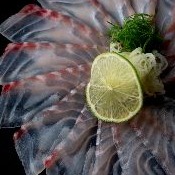 Usuzukuri Peixe do Dia - 15 fatias