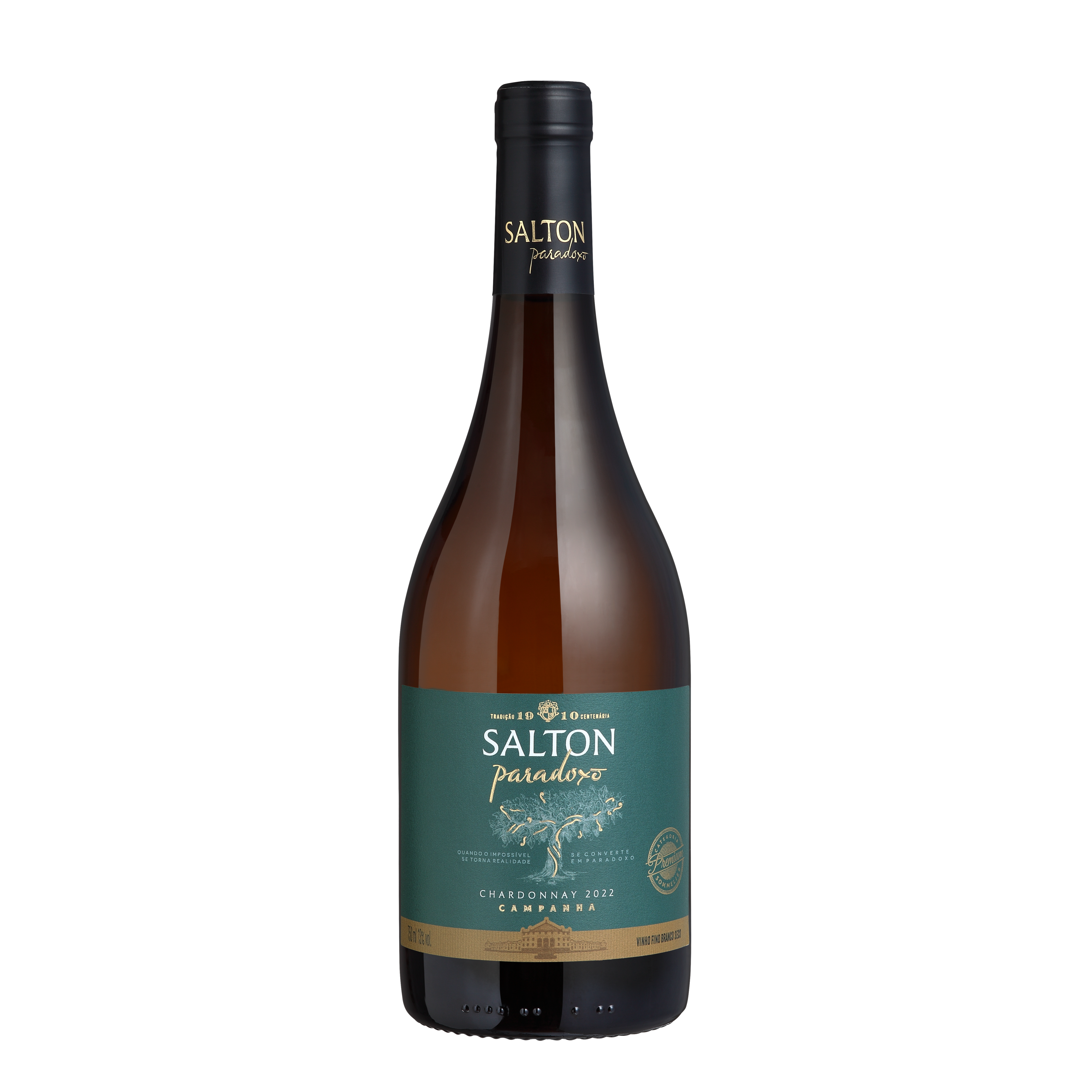 Vinho Nacional Salton Paradoxo Chardonnay 750ml