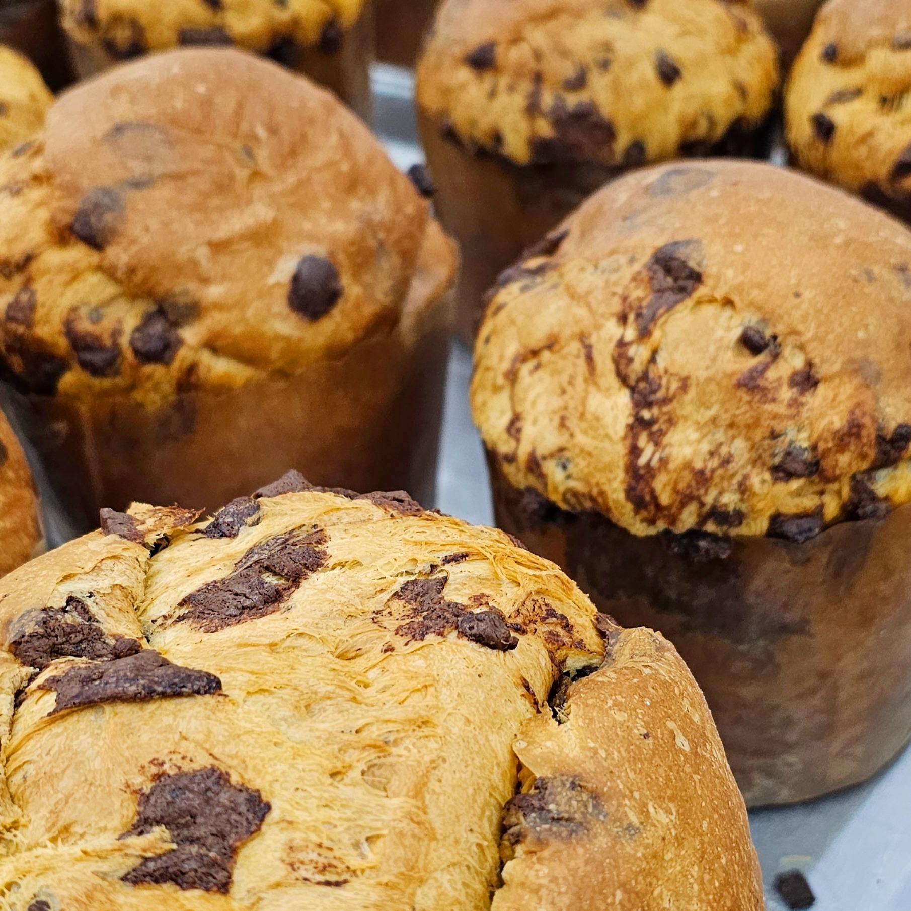 Chocotone Tradicional na caixa PRONTA ENTREGA