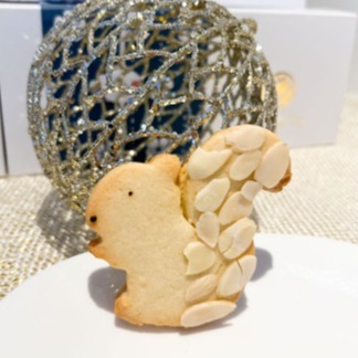  Cookie esquilo itens unid para compor a caixa ou compra avulsa