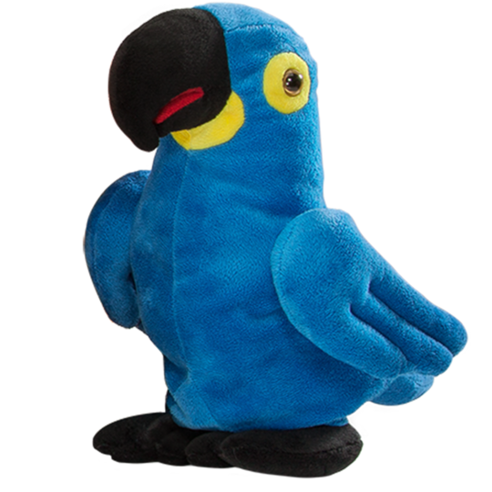 Arara chocobichos mata atlântica