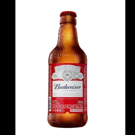  Budweiser Retornavel 300ml 