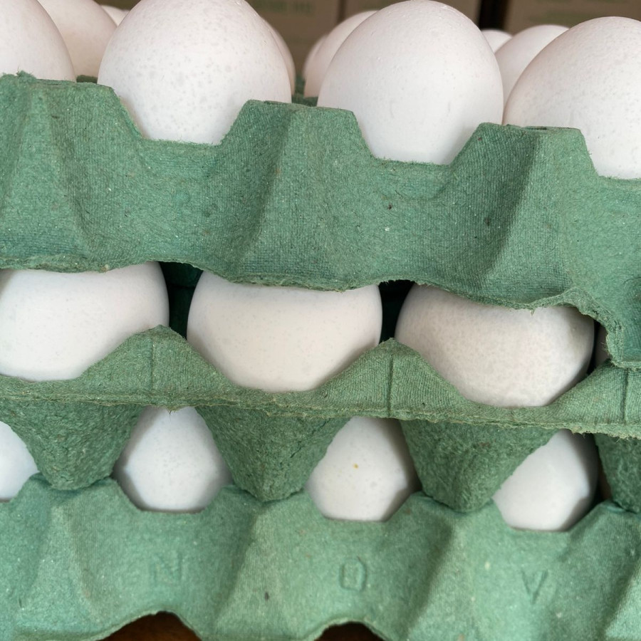 3 BANDEIJA DE OVOS EXTRA BRANCO