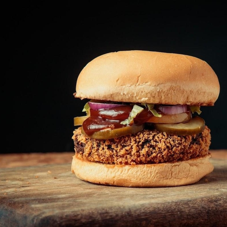 HAMBURGUER LAGOA DO JUNCO