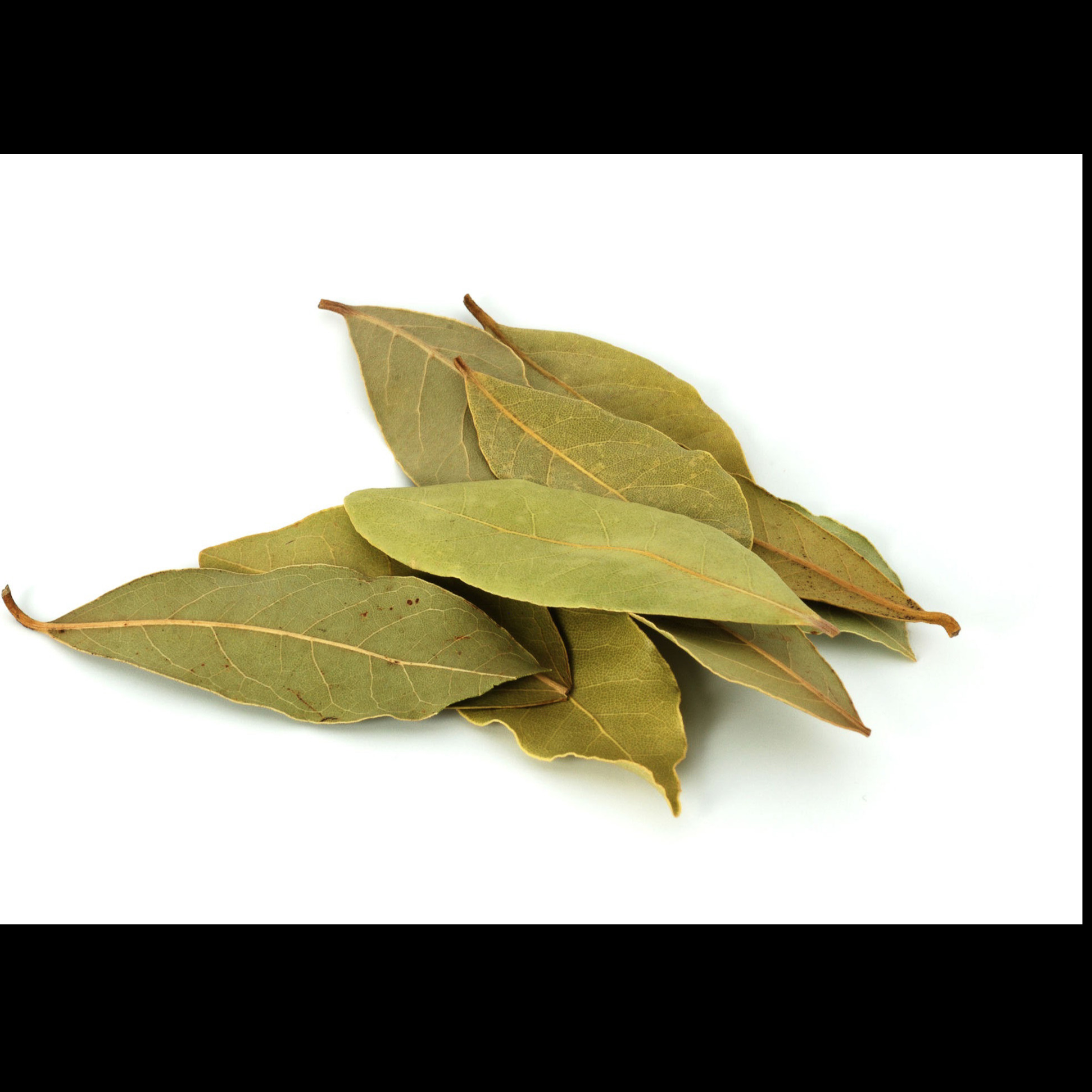 TEMPERO LOURO FOLHAS 10GR