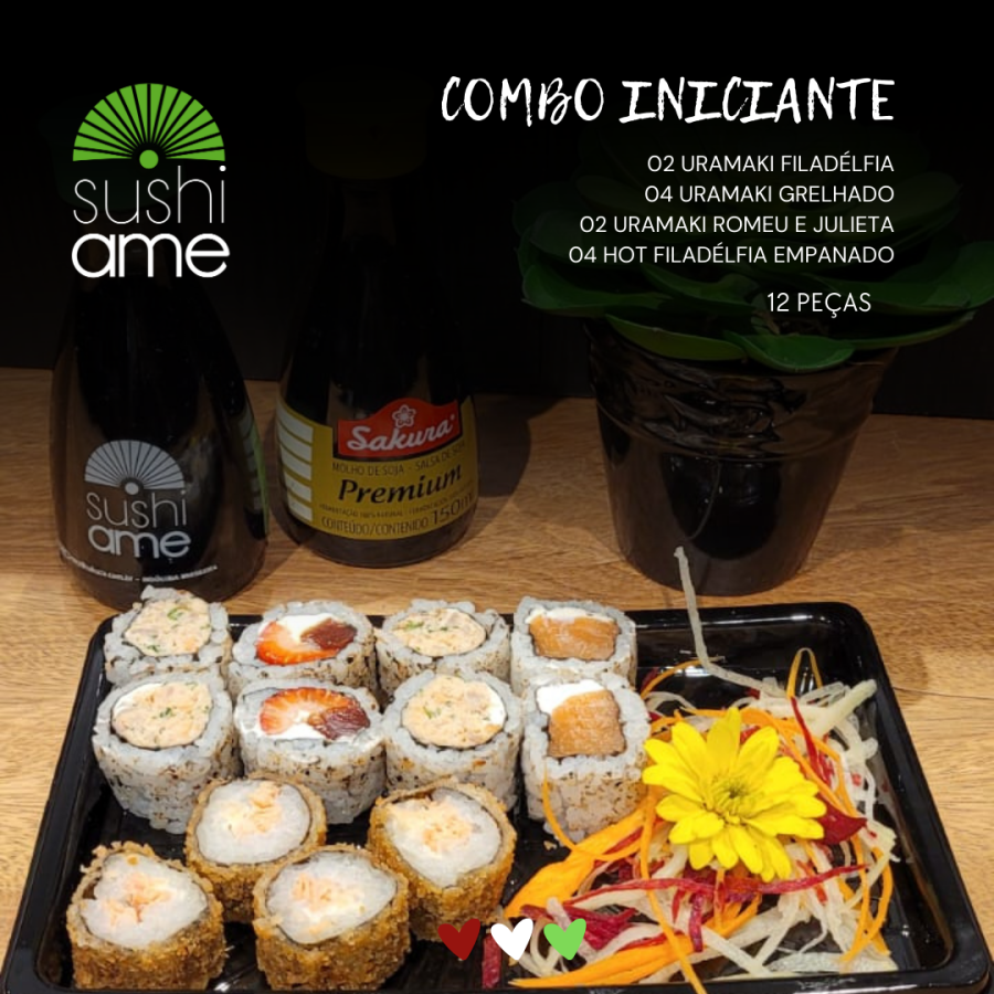 COMBO INICIANTE 12 PEÇAS