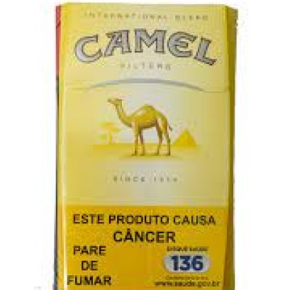 CAMEL AMARELO BOX 