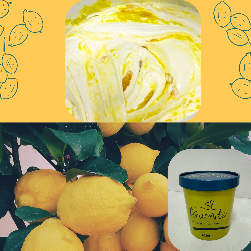 Gelato de Iogurte Grego com Limão Siciliano 500mL