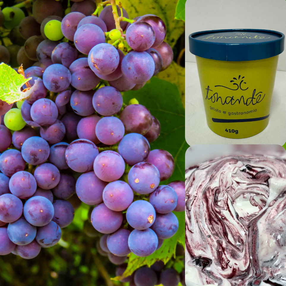 Gelato de Uva Fragola 500ml - Edição Especial