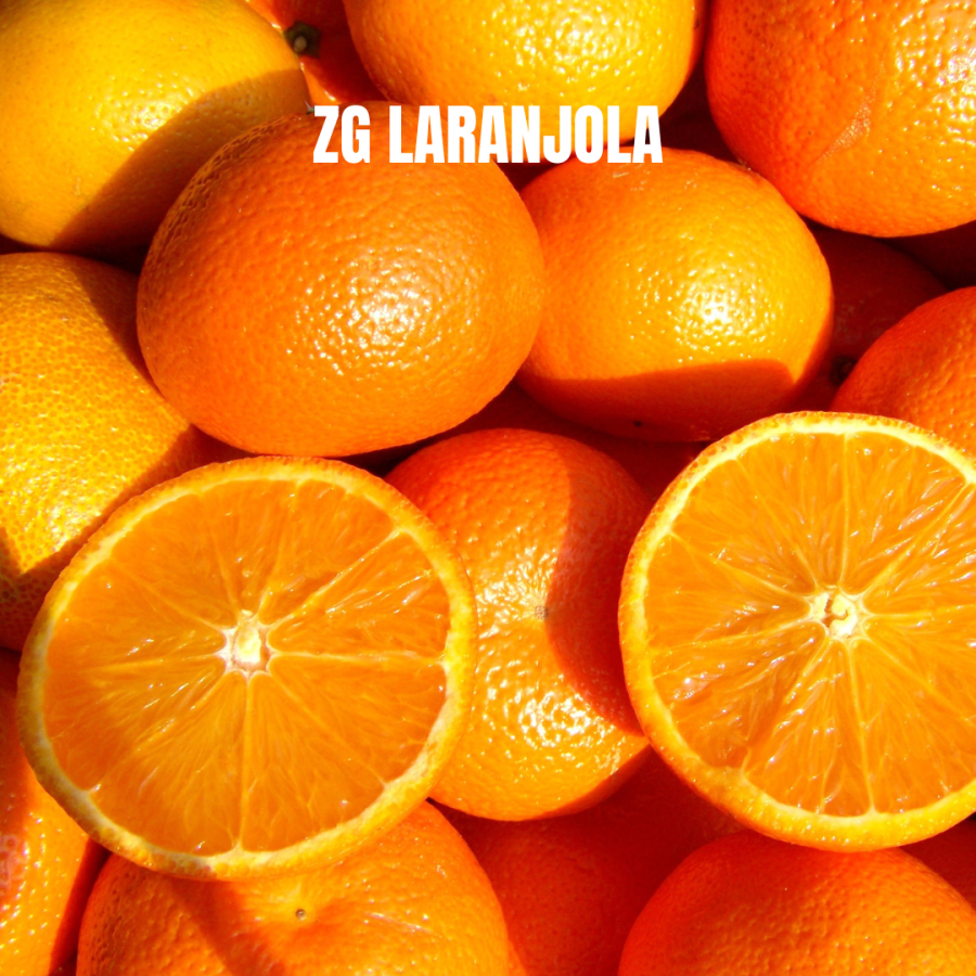 ZG LARANJOLA TROPICAL