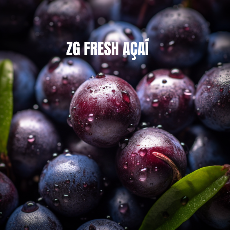 ZG FRESH AÇAÍ