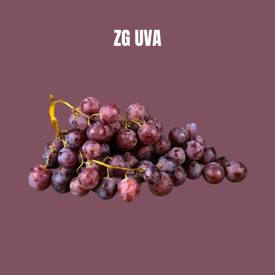 ZG GRAPE STARBURST