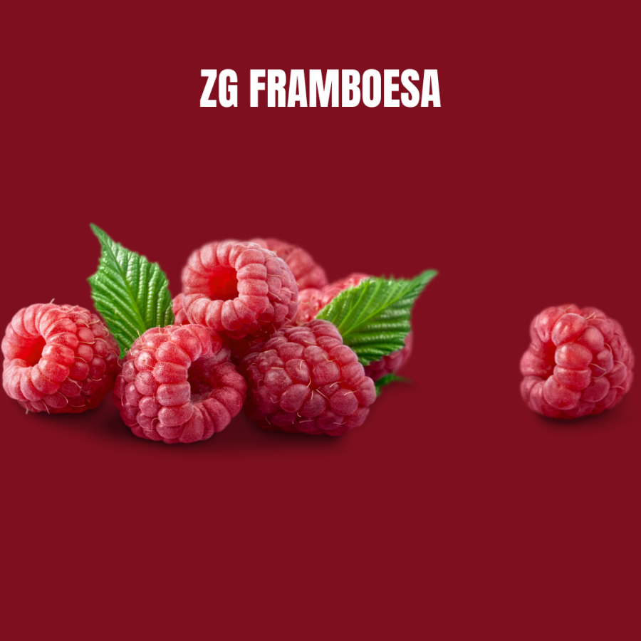 ZG BERRY (FRAMBOESA)