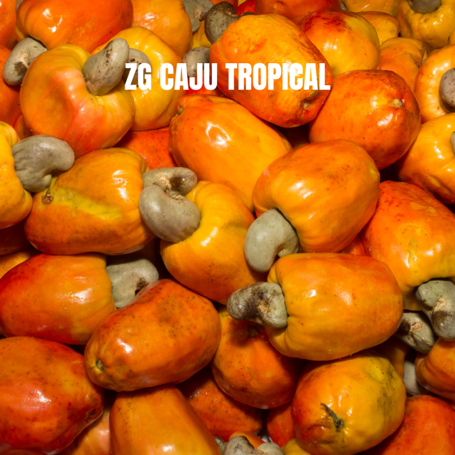 ZG CAJU TROPICAL
